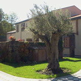 Foto delle Antiche Cisterne